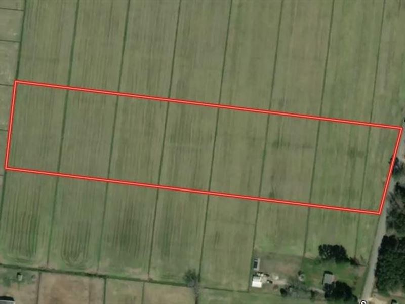 10 Acres Of Resid : Elizabeth City : Pasquotank County : North Carolina