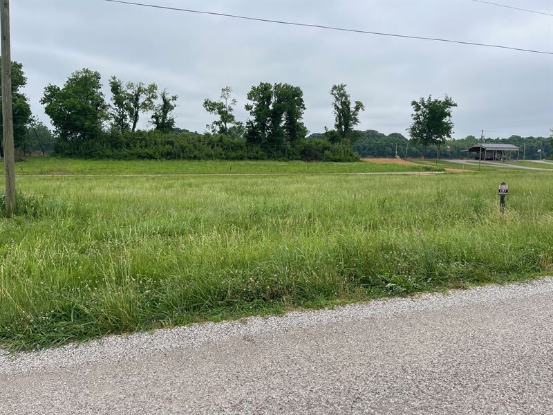 River View Lot for Sale On TN River : Crump : Hardin County : Tennessee