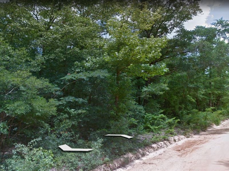 Zoning Allows for Multiple Homes : Cottondale : Jackson County : Florida