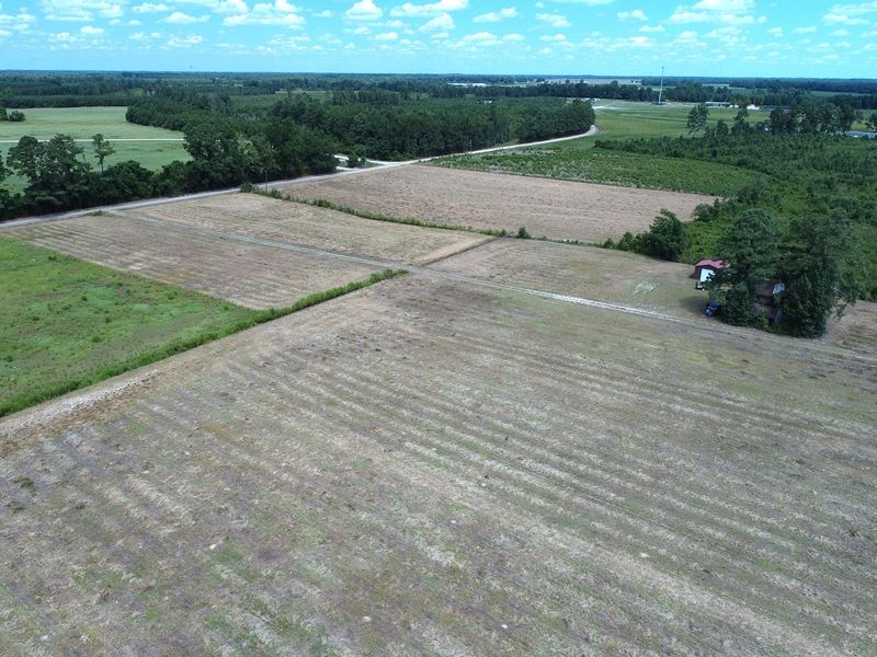 Farm with Potential Homesite : Fairmont : Robeson County : North Carolina