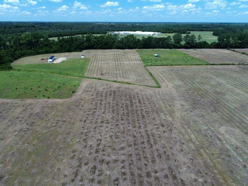 Farm with Potential Homesite : Fairmont : Robeson County : North Carolina