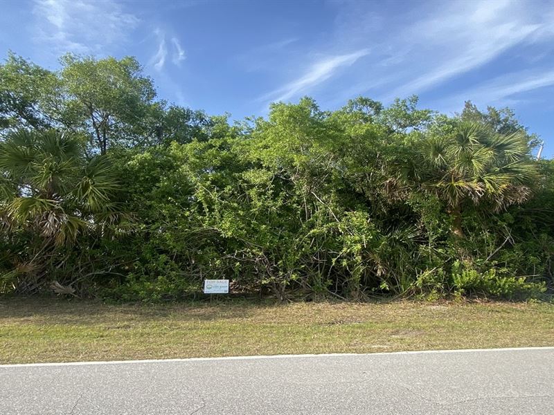 Beautiful Port Charlotte Lot : Port Charlotte : Charlotte County : Florida