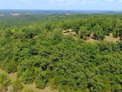 Homestead Friendly 5+ Acres : Gainesville : Ozark County : Missouri