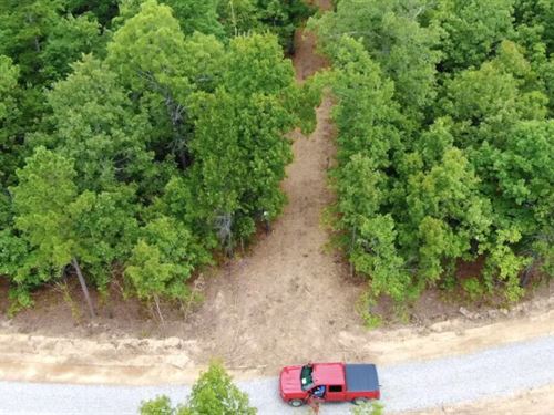 Owner Financed Acreage in AR : Viola : Fulton County : Arkansas