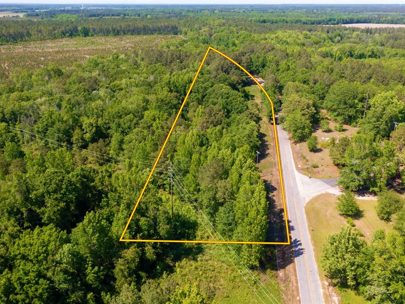 4.16 Acres 45 Min to Columbia, SC : Rembert : Sumter County : South Carolina