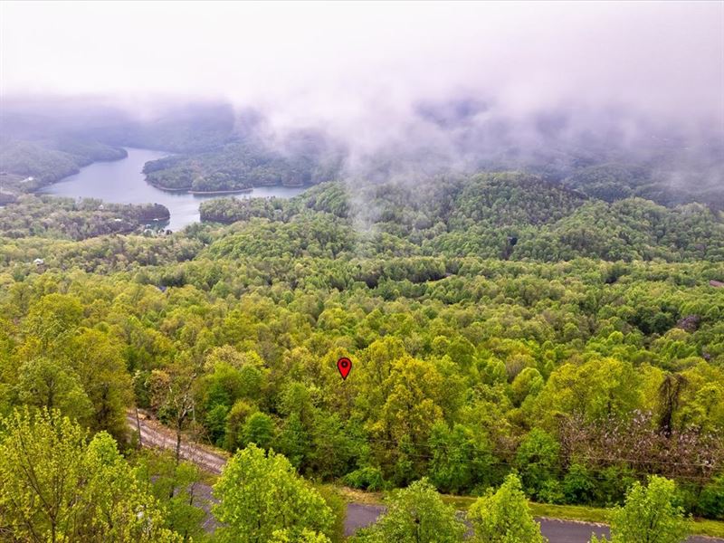 4.6 Acre Norris Lake View Lot : New Tazewell : Claiborne County : Tennessee