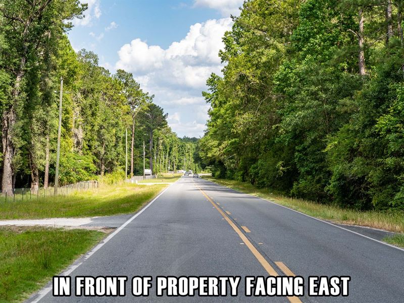 Forest Property, Possible RV Use : Live Oak : Suwannee County : Florida