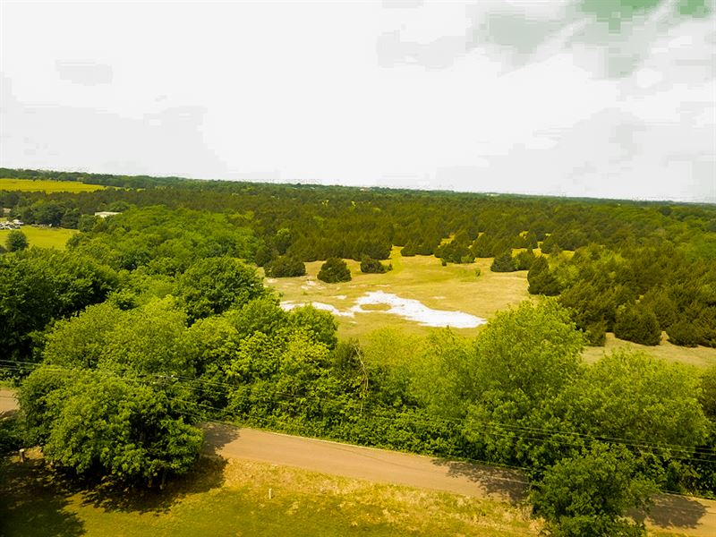 20 Acre Potential : Red Oak : Ellis County : Texas