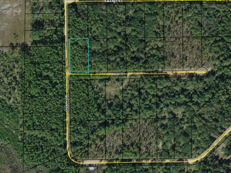 Equestrian Friendly Corner Lot : Marianna : Jackson County : Florida