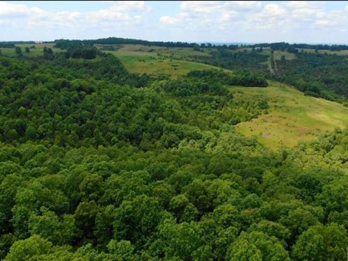 Owner Financed Land in The Ozarks : Gainesville : Ozark County : Missouri