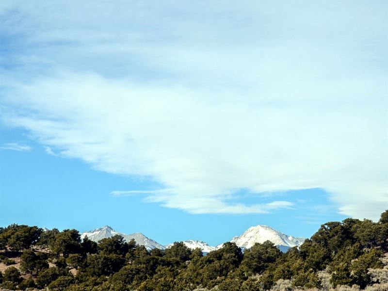5+ Acres by The Colorado Mountains : Fort Garland : Costilla County : Colorado