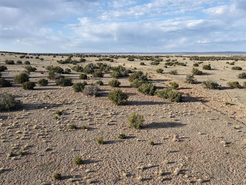 Discounted Cash Price, Diverse Land : Chambers : Apache County : Arizona