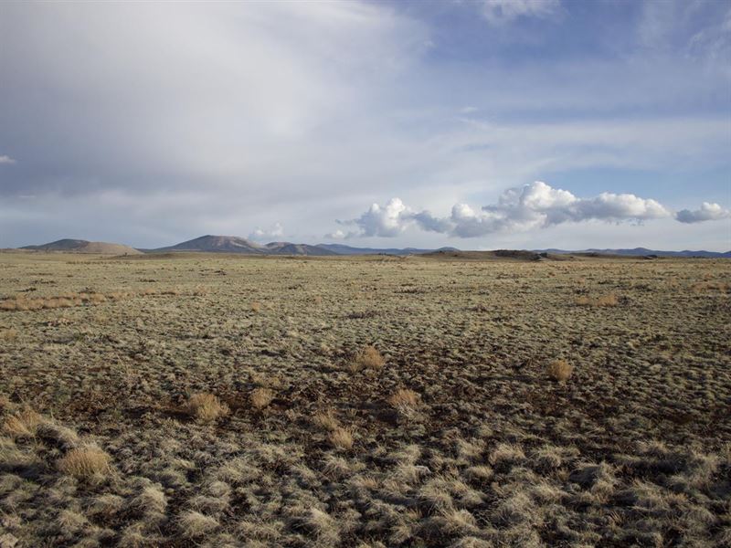Campers Dream Land in Arizona : Concho : Apache County : Arizona