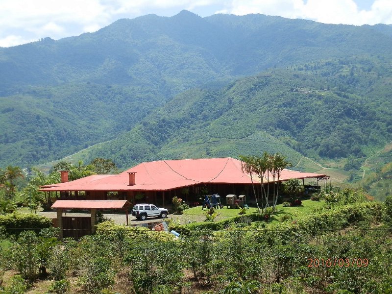 10,000 Sq Ft Mt.Top Home W/ 1 Hec : Orosi Cartago : Costa Rica