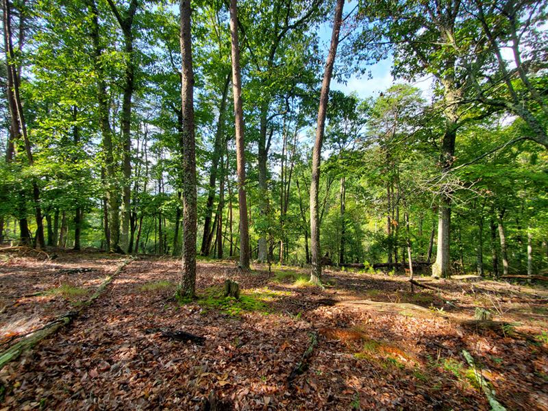 1.24 Acre Lot, Cherokee Lake Access : Mooresburg : Hawkins County : Tennessee