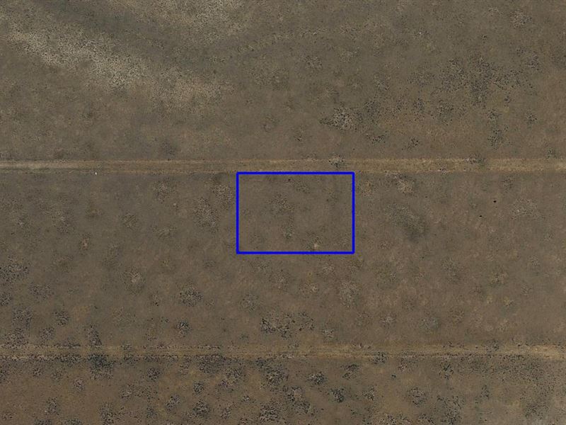 Near Moriarty : Moriarty : Torrance County : New Mexico