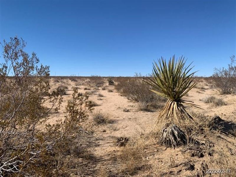 The View From The Top : Joshua Tree : San Bernardino County : California