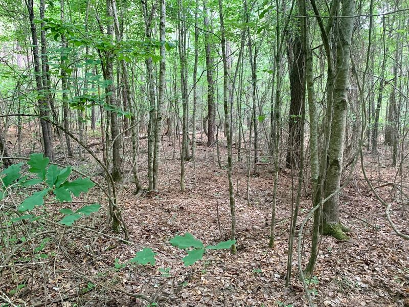 9.18 Ac Cedartown, GA : Cedartown : Polk County : Georgia