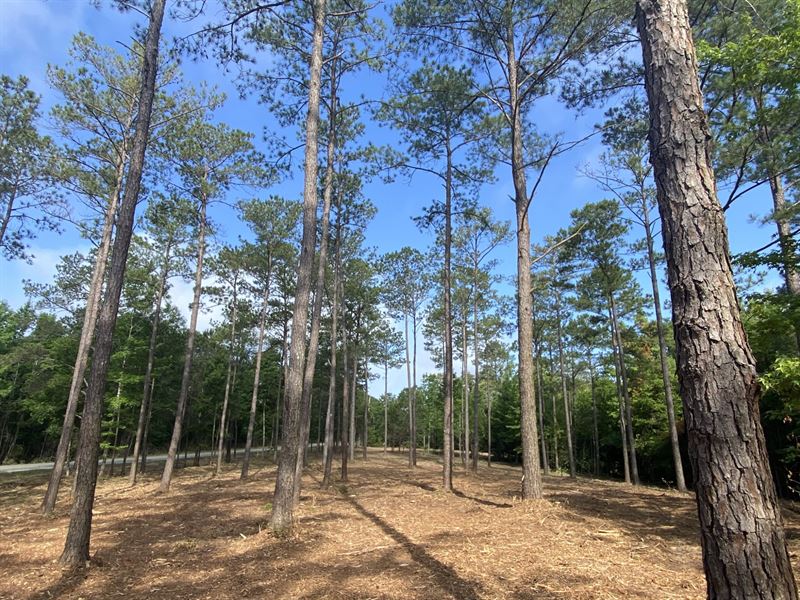 Gardner Bassett Tract A 9.6 Ac : Troy : Pike County : Alabama