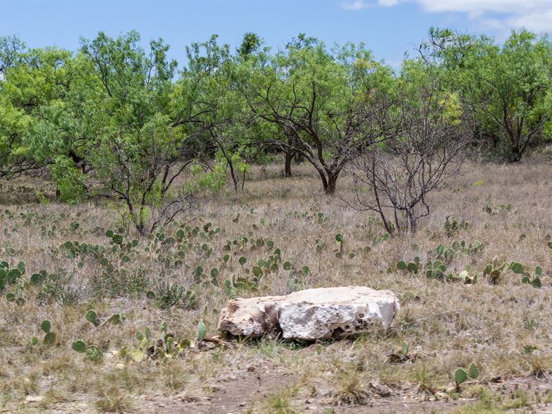 Heritage, Lot 9 with Electricity : Brady : McCulloch County : Texas