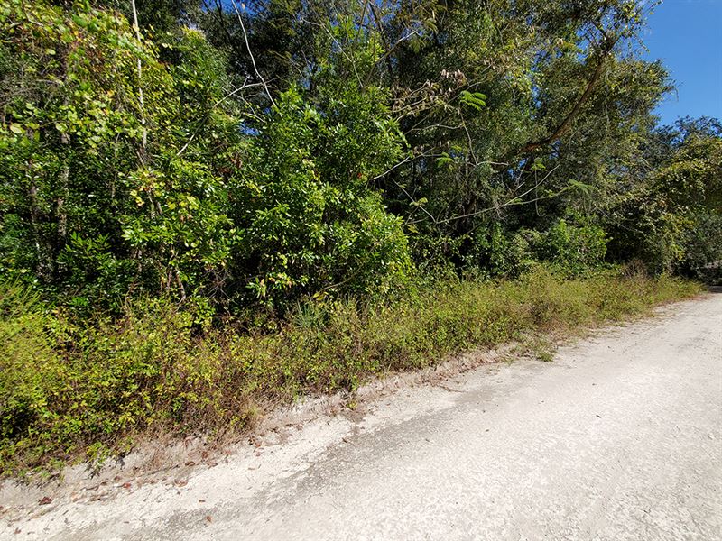 .13 Acre in Marion County, FL : Anthony : Marion County : Florida