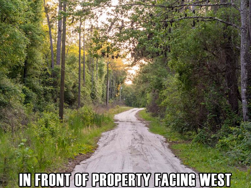 Lot Down The Road From Lake Talquin : Tallahassee : Leon County : Florida