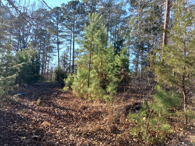 Lake O' Pines Rec Lot, RV, Camping : Jefferson : Marion County : Texas