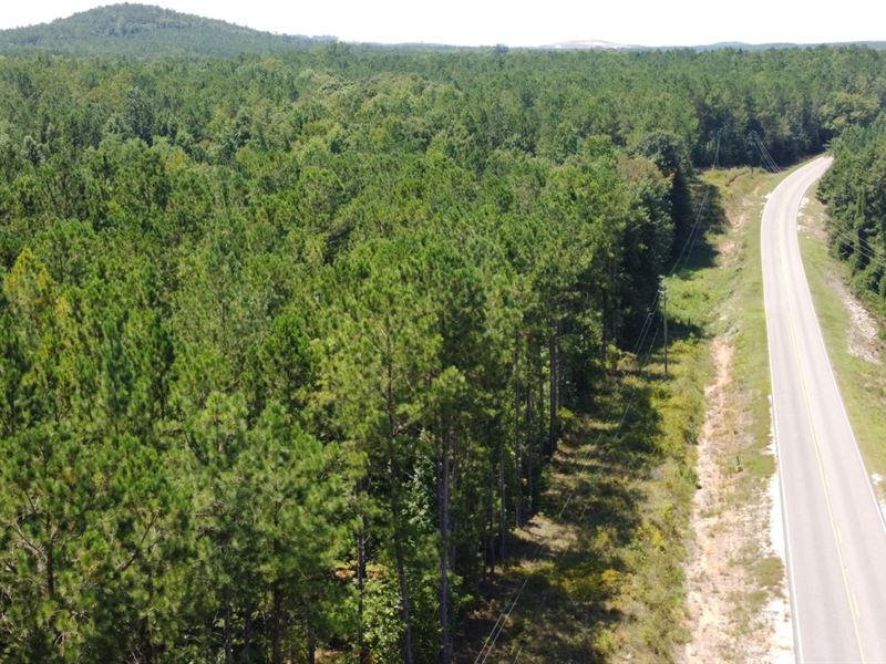 7.5 Acres in Lee County : Salem : Lee County : Alabama