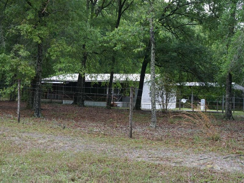 Corner Lot and Fenced : McAlpin : Suwannee County : Florida
