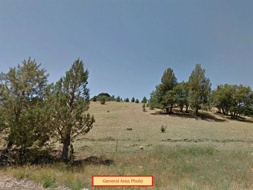 2.60 Acres in Siskiyou County, CA : Montague : Siskiyou County : California