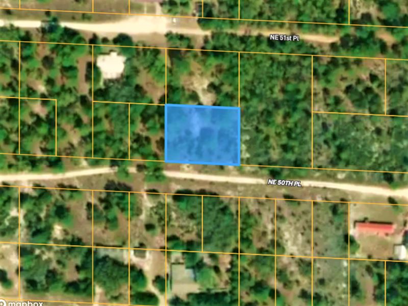 .44 Acre Gem in Levy County, FL : Williston : Levy County : Florida