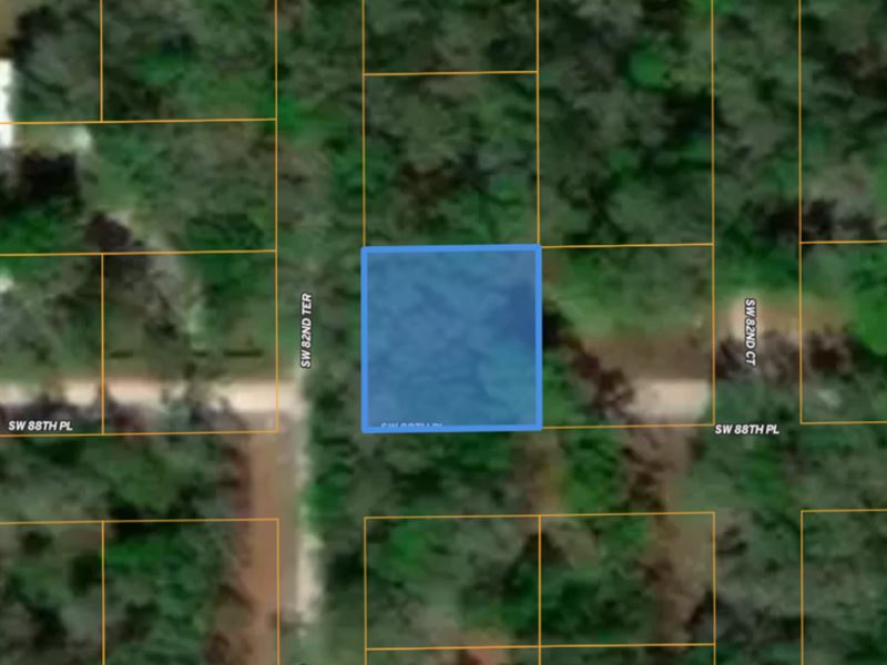 Mobile Home Friendly, Near Suwannee : Trenton : Gilchrist County : Florida