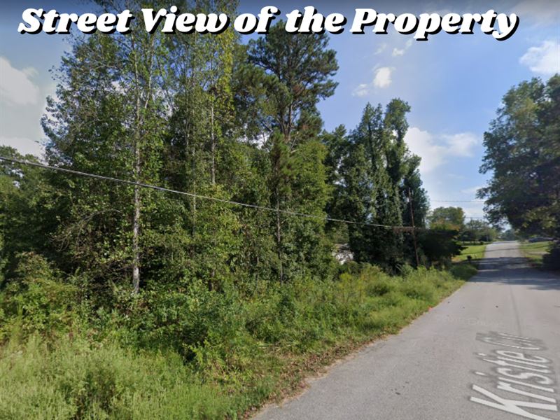 Beautiful 0.47 Ac Garden Lot : Powder Springs : Paulding County : Georgia