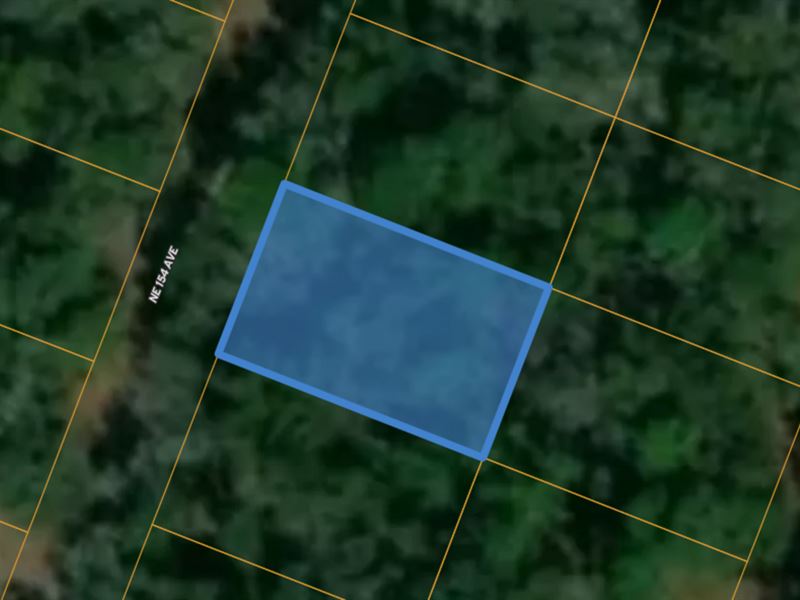 Naturally Soothing Landscape in FL : Williston : Levy County : Florida
