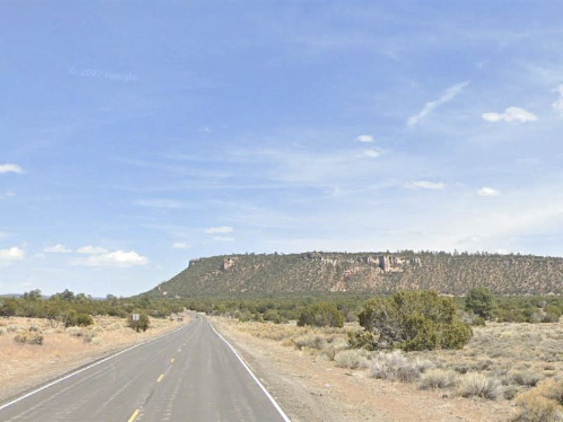 Nature Lover's Dream in NM : Mountain View : Cibola County : New Mexico