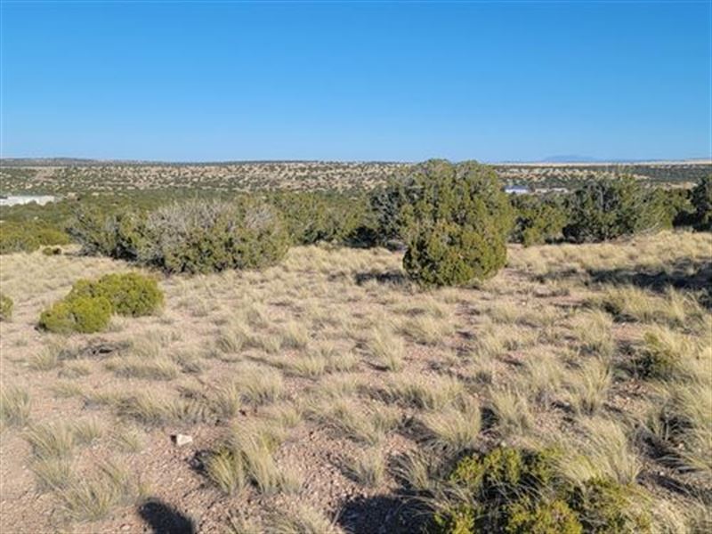 Unoccupied and Camping Permitted : Concho : Apache County : Arizona