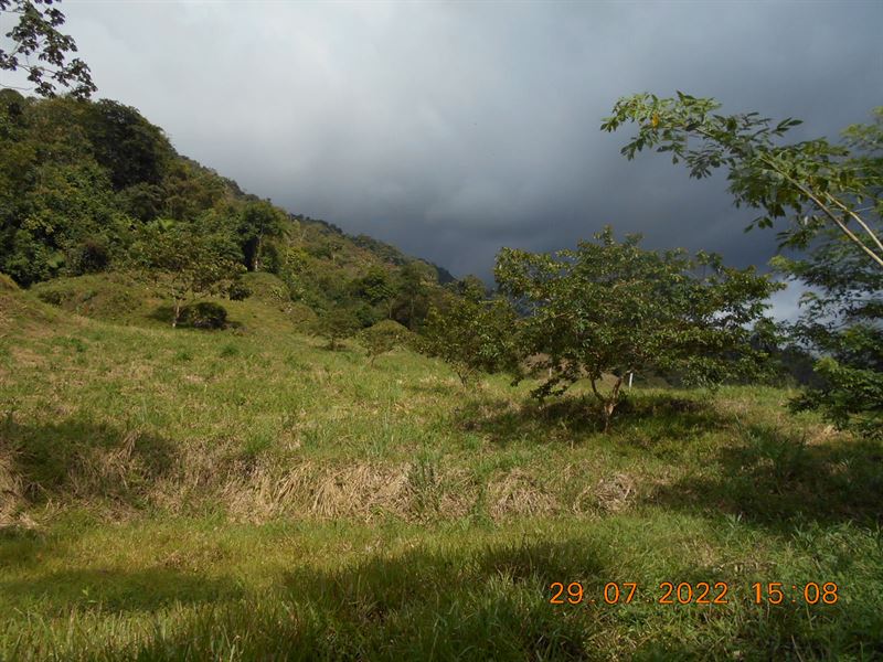 Private Little Farm with Creek : La Suiza : Costa Rica