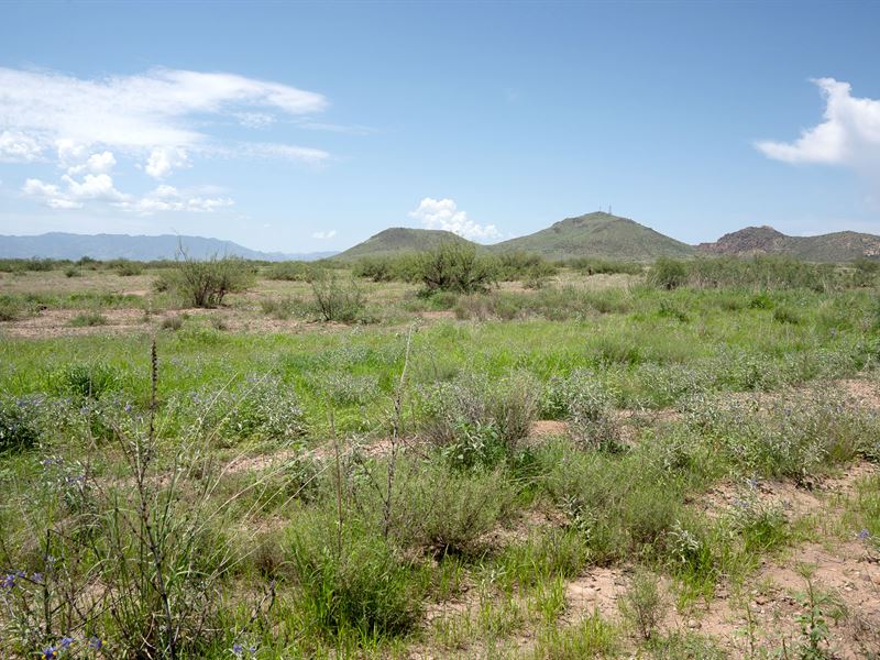 RV Friendly Cochise County, AZ Land : Willcox : Cochise County : Arizona