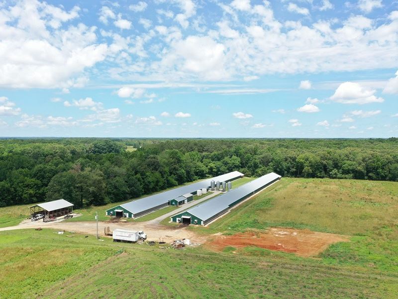 Shadow Lane Broiler Farm : Belvidere : Franklin County : Tennessee