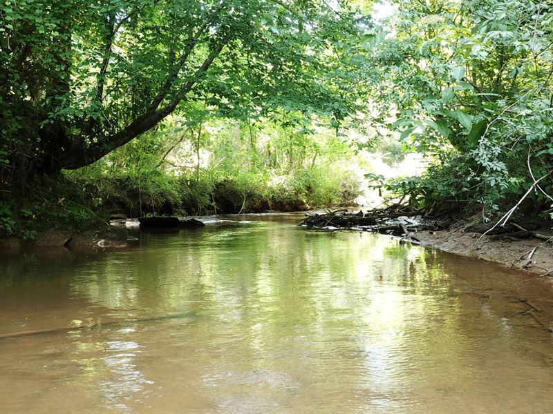 20 Carroll County Indian Creek : Bowdon : Carroll County : Georgia