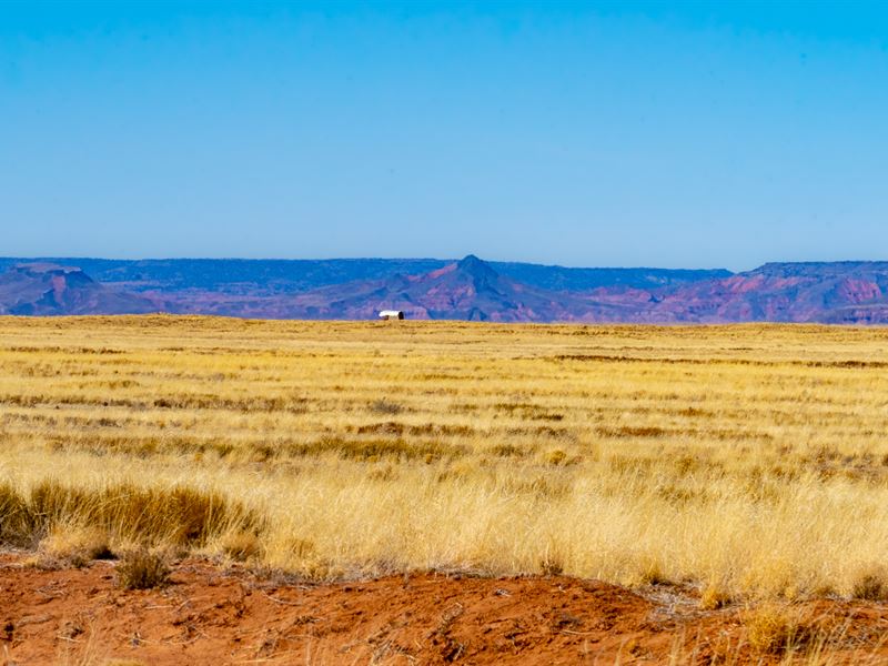 2.5 Ac in Navajo County, Off Grid : Holbrook : Navajo County : Arizona