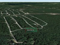 .69 Acre in Harleton, $350/Mo : Harleton : Harrison County : Texas
