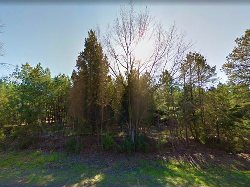 .69 Acre in Harleton, $350 a Month : Harleton : Harrison County : Texas