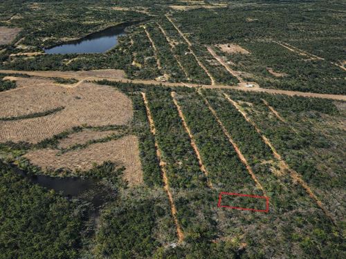 .69 Acre Lakeside Retreat Lot : Harleton : Harrison County : Texas