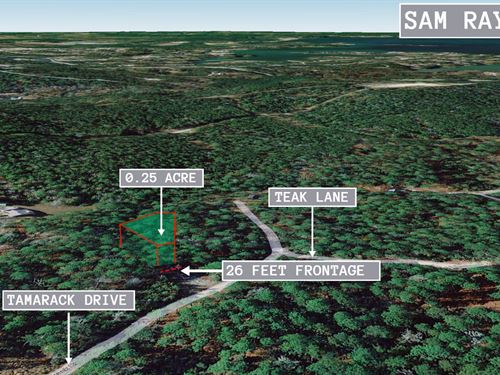 .25 Acre in Brookeland, $250/Month : Brookeland : Jasper County : Texas