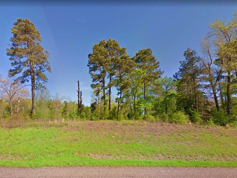 .27 Acre in Lone Star, $200/Mo : Lone Star : Marion County : Texas