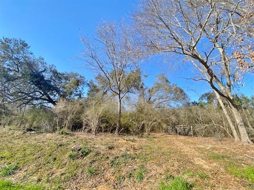 12 Acres-Hwy 1057 : Kentwood : Tangipahoa Parish : Louisiana