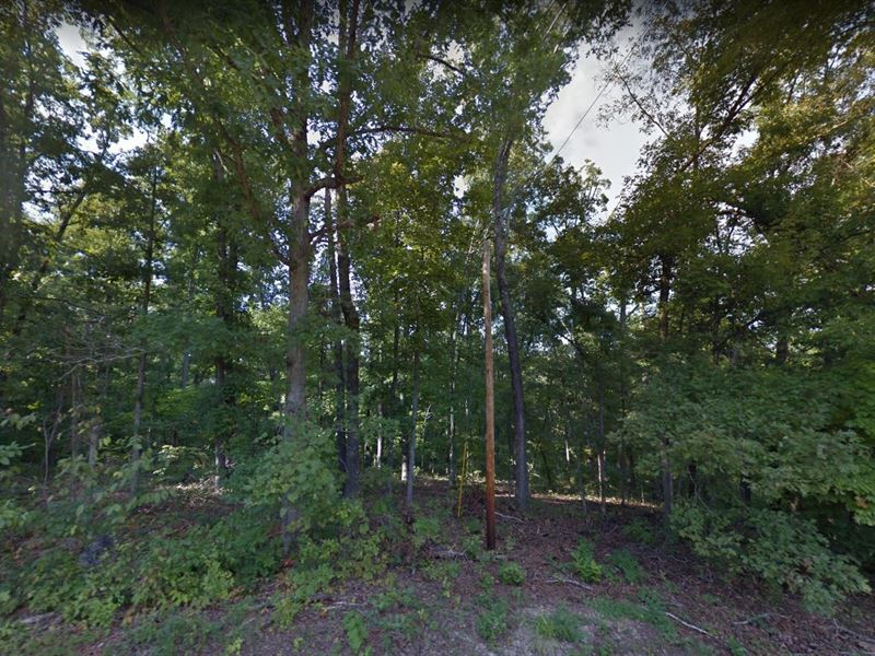 Wooded Lot Near Spring Lake : Williford : Sharp County : Arkansas