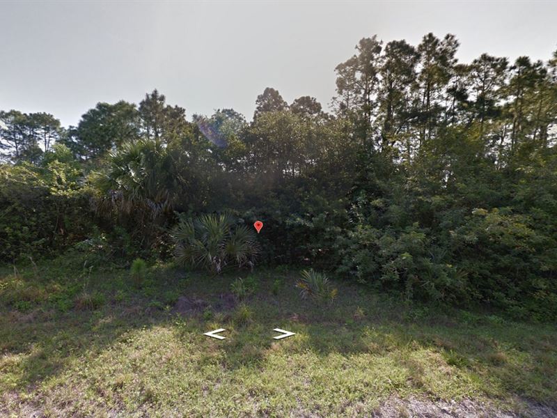 Beautiful Homesite, North Port, FL : North Port : Sarasota County : Florida