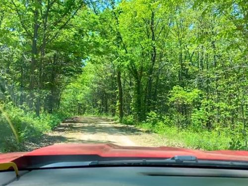 Owner Financed 10 Acres : Macks Creek : Camden County : Missouri